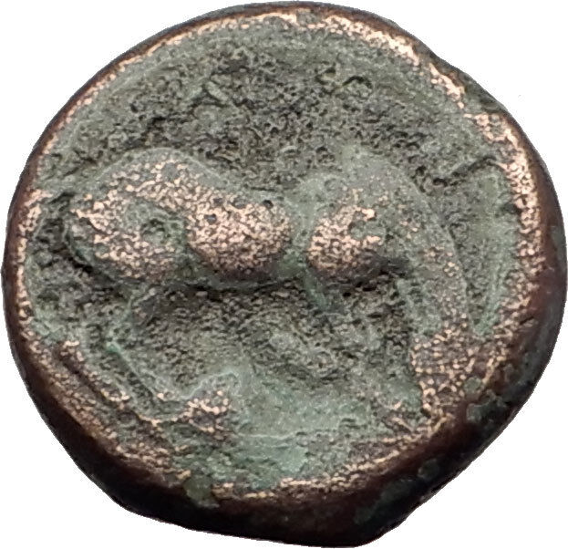 LARISSA Thessaly Genuine 360BC Authentic Ancient Greek Coin NYMPH & HORSE i62304