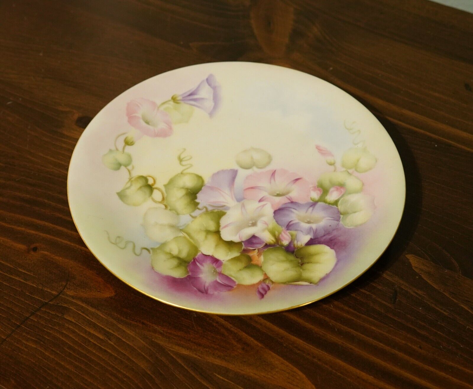 Morning Glory Decorative Plate
