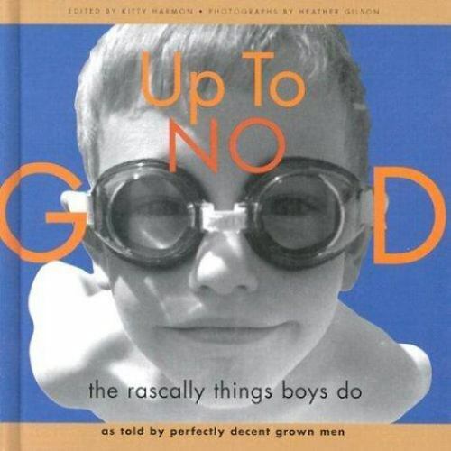 Up to No Good: The Rascally Things Boys Do Harman, Kitty, Gilson, Heather Hardc