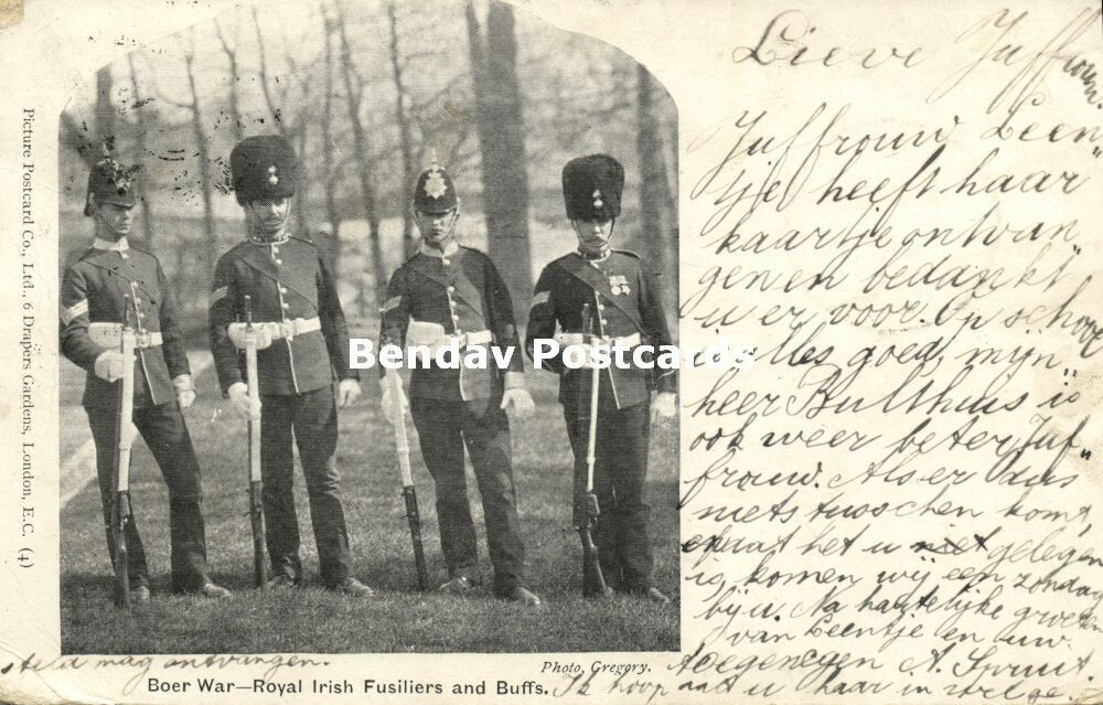 BOER WAR, Royal Irish Fusiliers and Buffs, Uniform (1901)