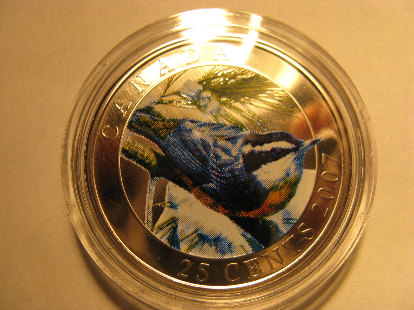 CANADA 2007 RED BREASTED NUTHATCH COLOURED OVERSIZE 25 CENT COIN BIRD SERIES
