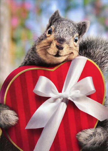 Squirrel Holds Heart Box Stand Out Pop Up Funny Valentine\'s Day Card by Avanti