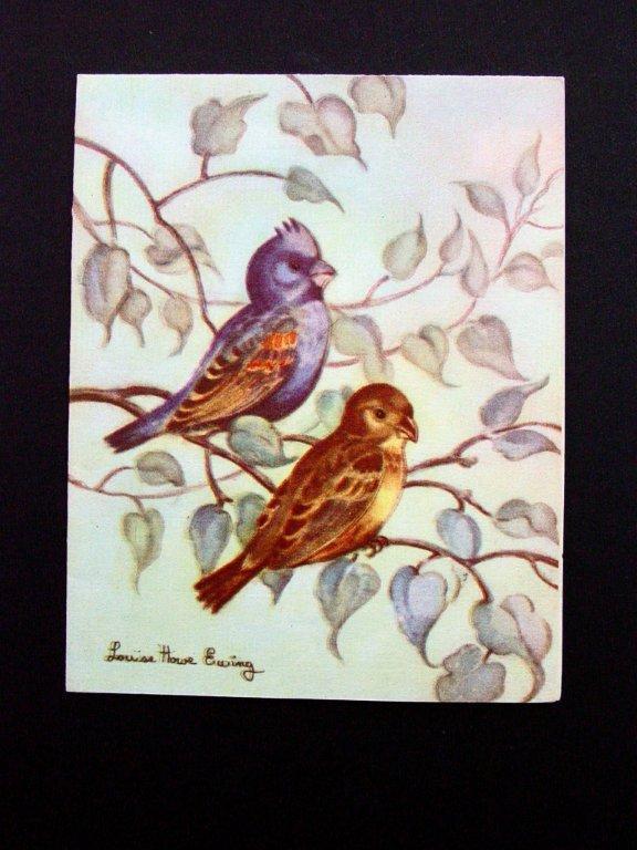 Unused Vintage Louise Howe Ewing Greeting Card Pretty Birds on Tree Branch