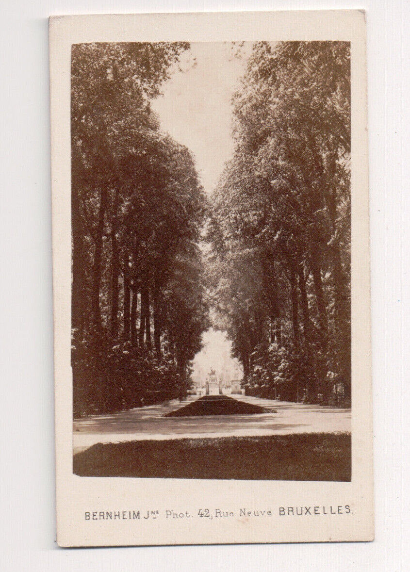 Vintage CDV Park Scene 1860\'s Belgium Countryside Dechamps& Co. Brussles