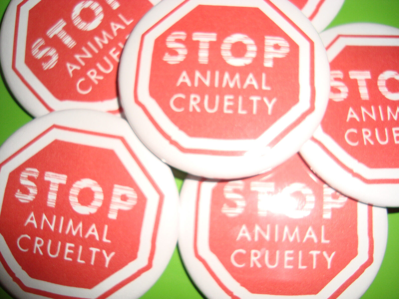 STOP ANIMAL CRUELTY, DOG CAT BUTTON Badge 2-1/4\