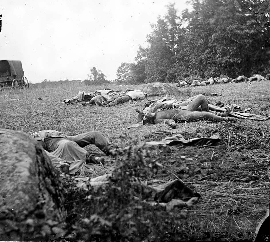 Confederate Dead Rebel Soldiers Rose Woods Gettysburg 8x10 Civil War Photo 1863