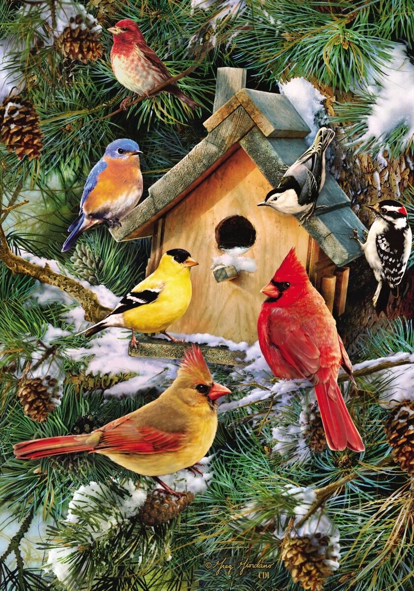 Winter Pine Tree Pinecones Birdhouse Birds Snow Sm Flag