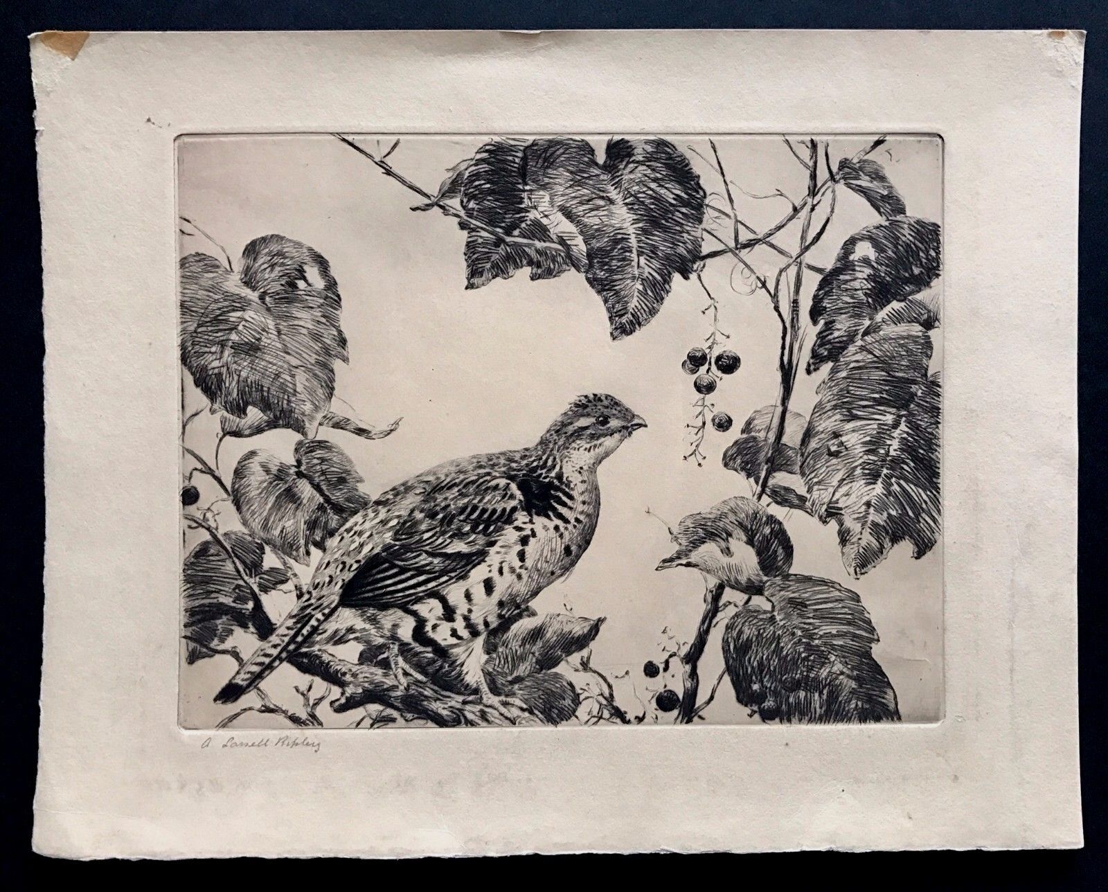 Original AIDEN L. RIPLEY (1896–1969) signed drypoint etching \
