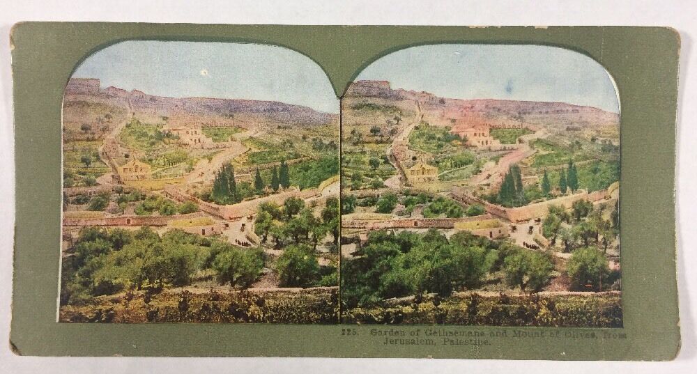Garden of Gethsemane and Mount Olives Jerusalem, Palestine Stereoview 225