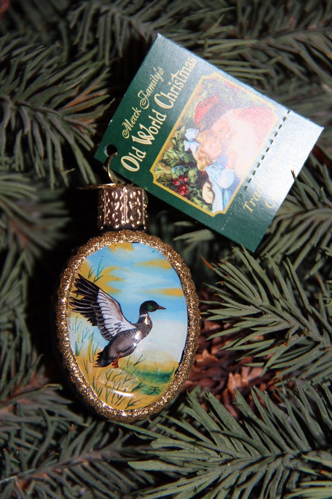*Inside Art - Mallard Duck* Bird Hunting Old World Christmas Glass Ornament- NEW