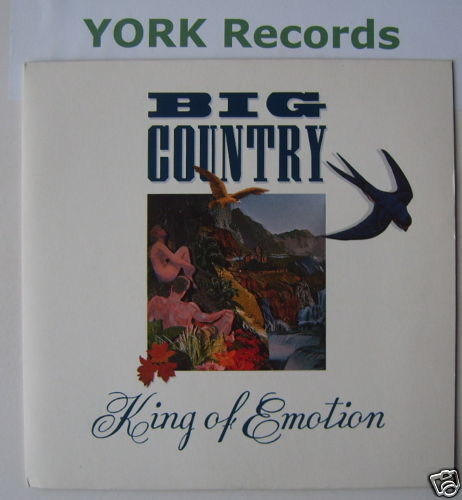 BIG COUNTRY - King Of Emotion - Excellent Con 7\
