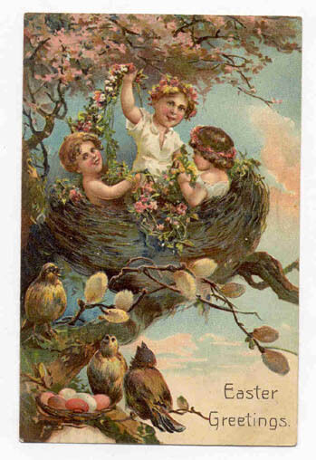 1909 PFB FANTASY POSTCARD 3 KIDS IN GIANT NESTCOLORFUL & DEEPLY EMBOSSED PC2300