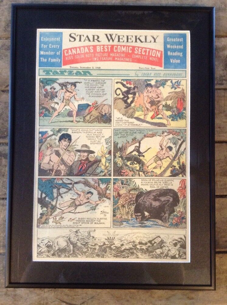 RARE 1950\'s TARZAN Comic Strip / 1950 Star Weekly / Vintage Tarzan Comic Framed
