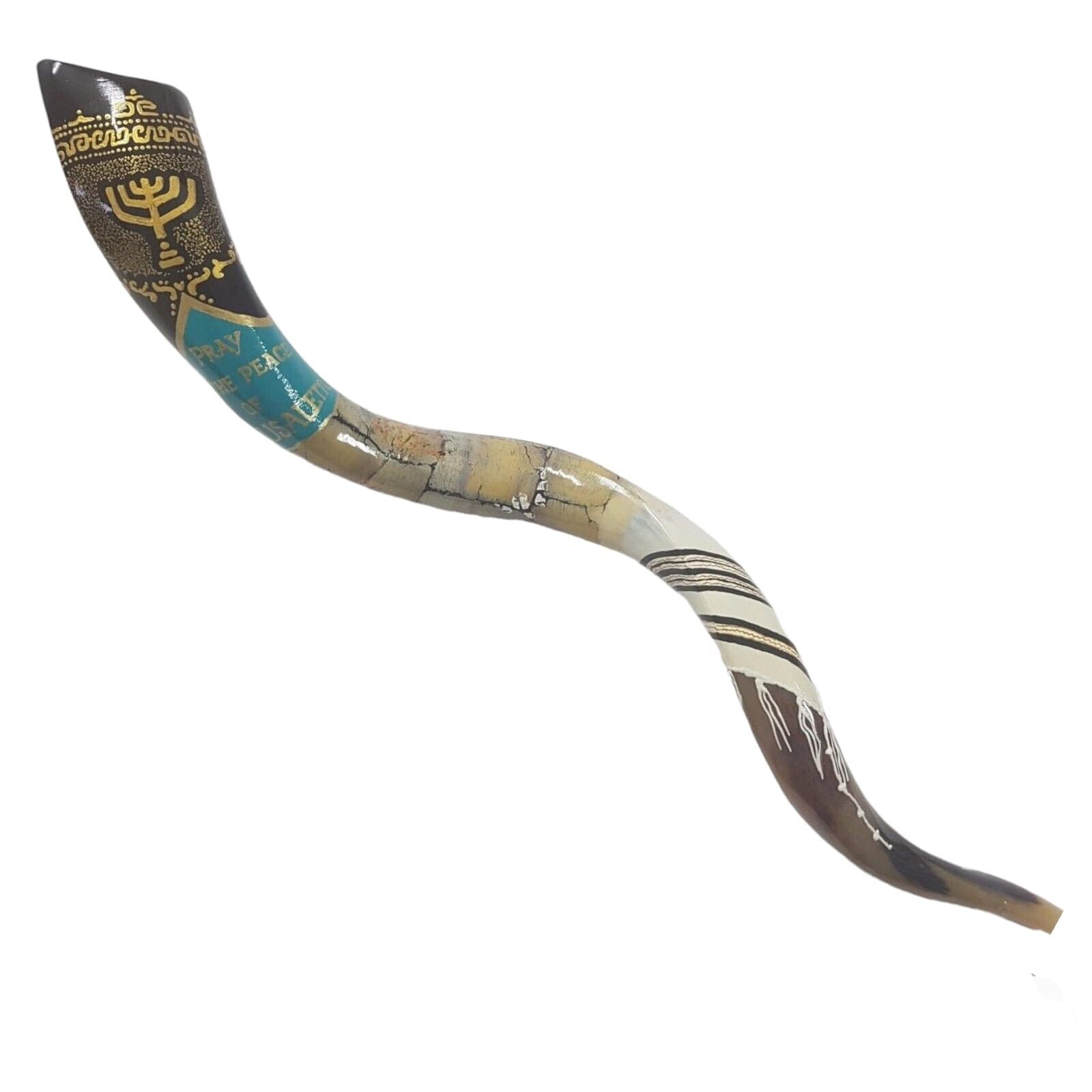 Shofar Yemenite Horn Extra Large 40-42\
