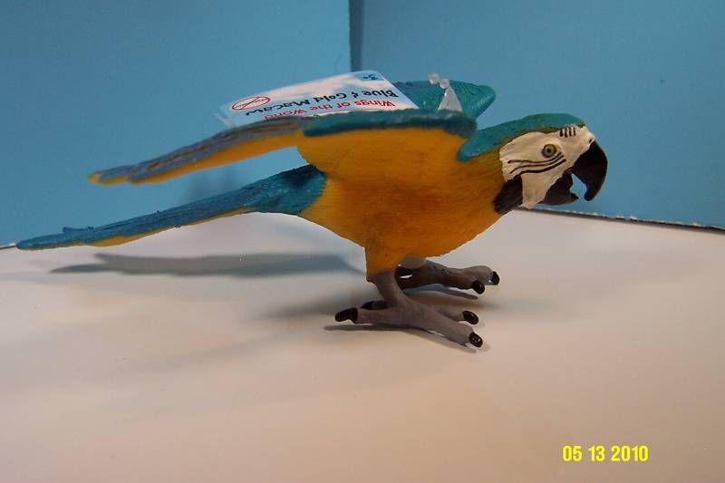Safari LTD Wings Of The World Bird-Blue & Gold Macaw