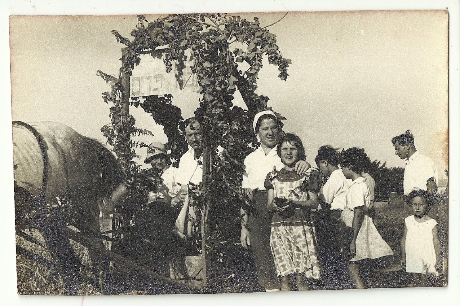 Judaica Palestine rare Old RPPC Postcard Shavuot Fruit Festival 1945-6