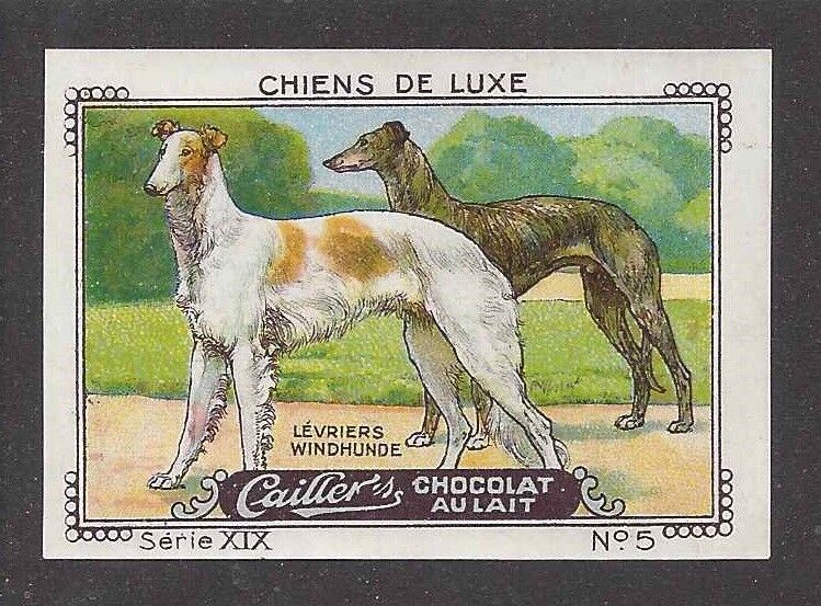 1931 France Nestle Cailler Kohler Dog Card GREYHOUND RUSSIAN WOLFHOUND BORZOI