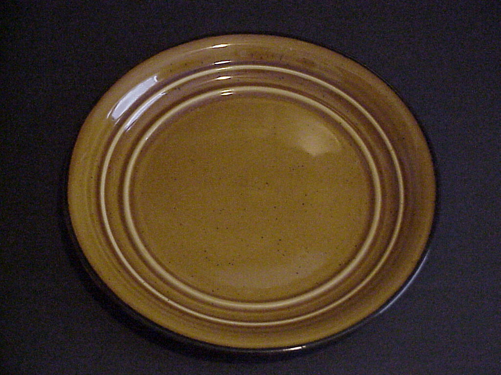 HOME TRENDS HTS15 DINNER PLATES - SET OF 3 - BROWN CONCENTRIC RINGS BROWN TRIM