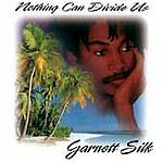Nothing Can Divide Us by Garnett Silk (CD, 1995, VP Records)
