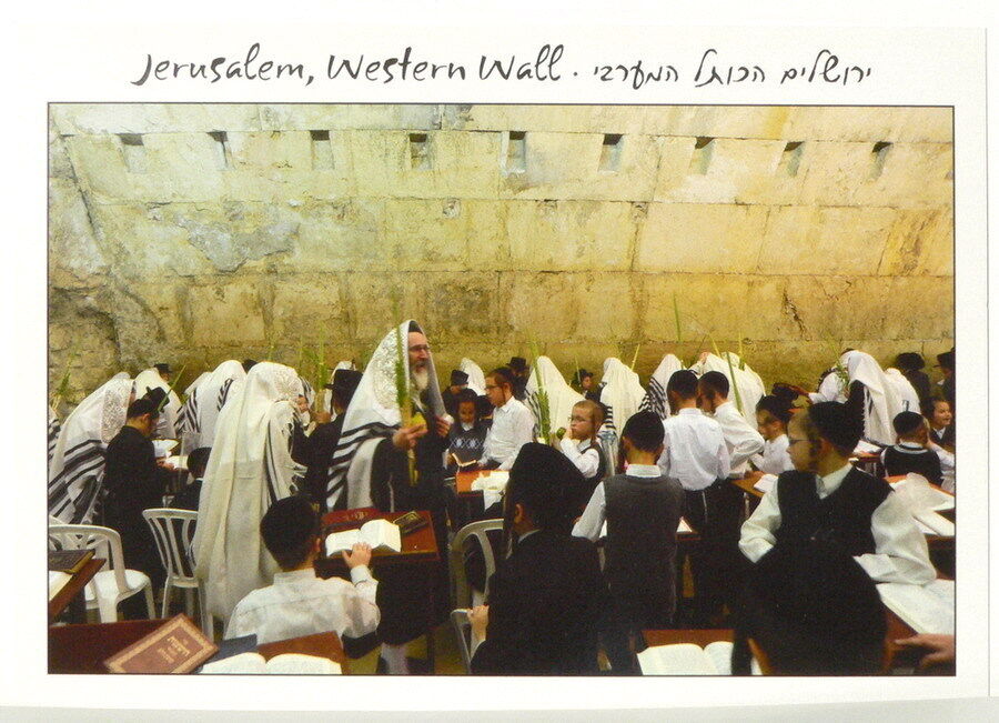 Lot 5 Prayers at Jerusalem Kotel POSTCARD Western/Wailing Wall, Jewish, Sukkot