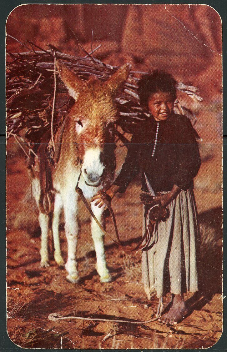 AMERICAN INDIAN POSTCARD NAVAJO LASS & HER DONKEY  MINT WITH STAIN