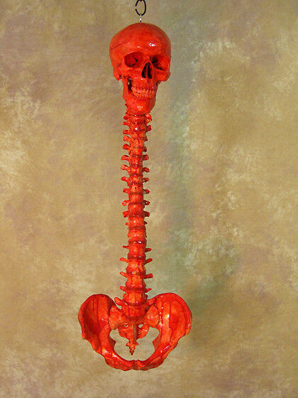 Life-Size Blood Skull w/ Spine, Harvey Halloween Haunt, Prop, NEW