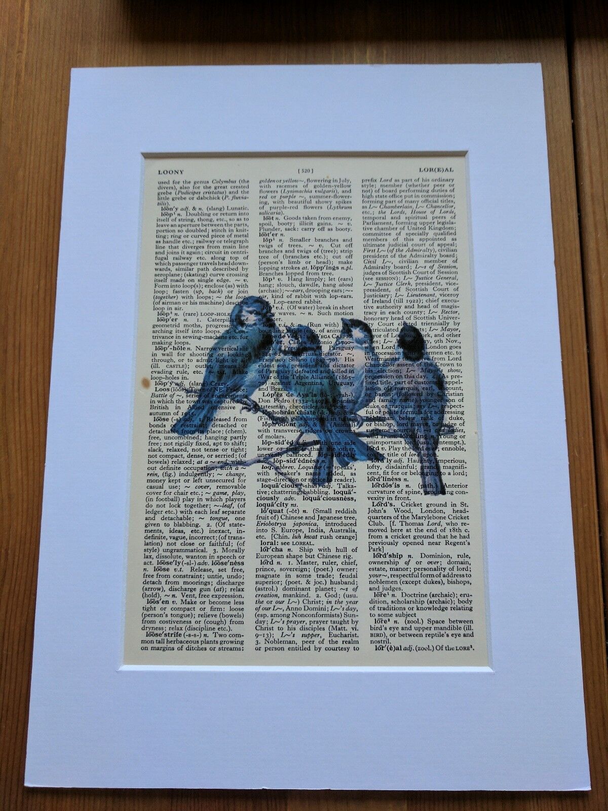 VINTAGE ART DISPLAY OLD DICTIONARY PAGE PAPER PRINT BLUE BIRDS