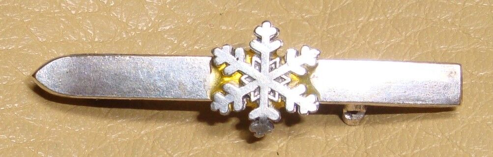 SNOWFLAKE & SKI rare vintage ski pin, MADE IN AUSTRIA Silver Plate? Late 1950\'s?