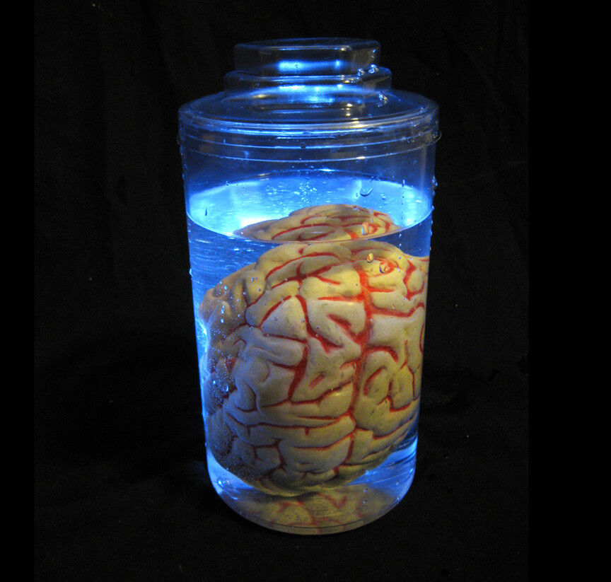 4 Lighted Mad Scientist Brain Human Body Part  Jar Halloween Party Prop Tabletop