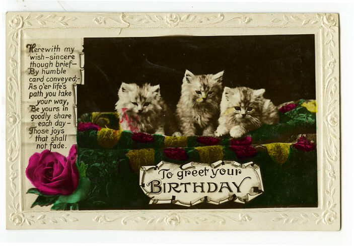 1910s Antique ADORABLE KITTENS vintage photo postcard