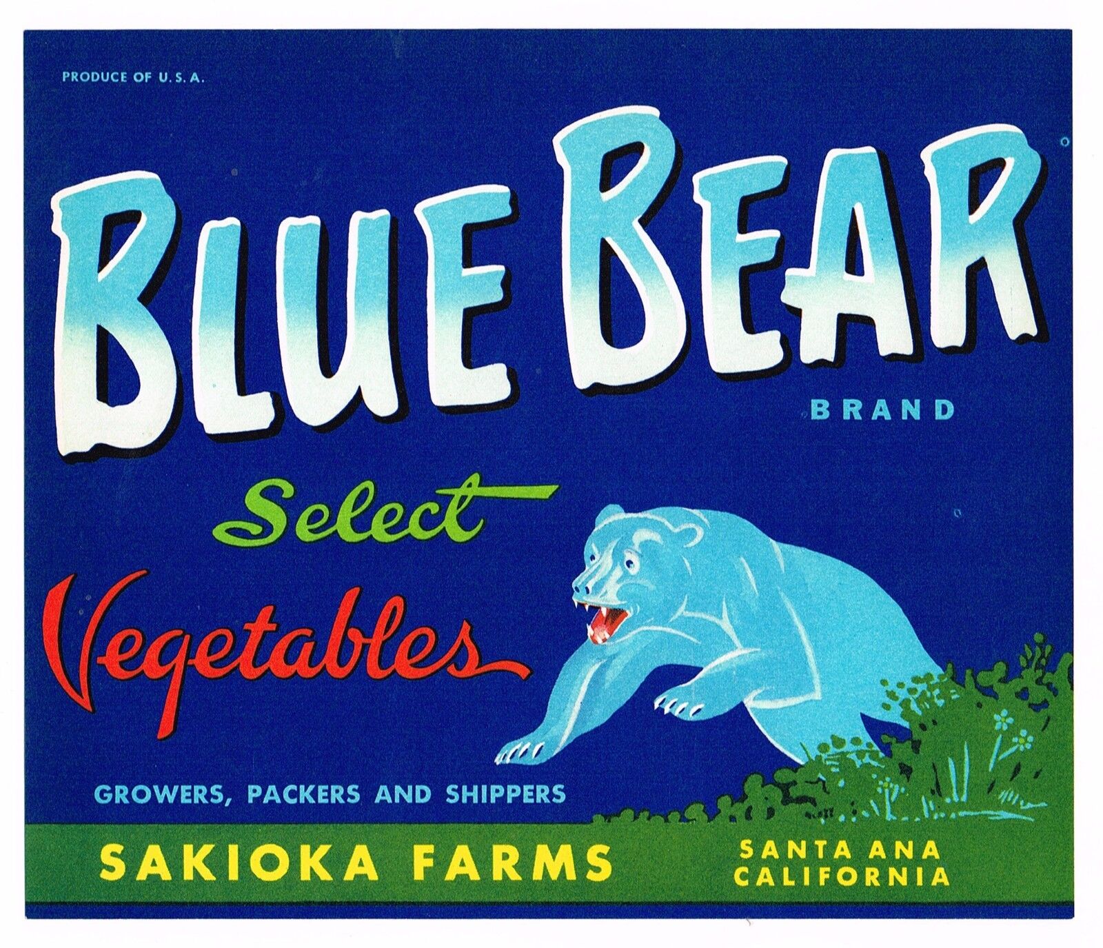 CRATE LABEL VINTAGE BLUE BEAR SANTA ANA ORANGE COUNTY SAKIOKA JAPANESE SCARCE