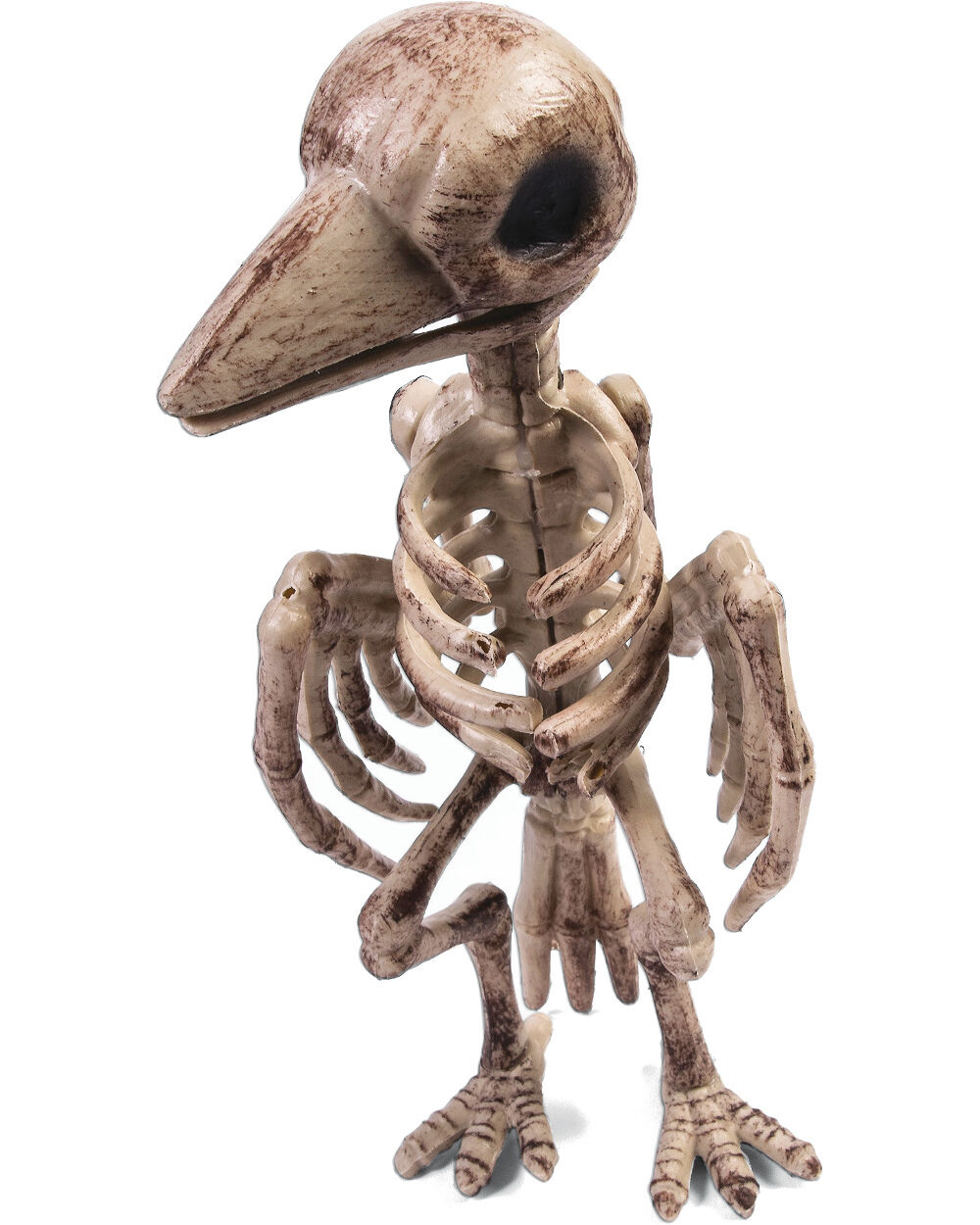 Skeleton Raven Prop Hollow Plastic Bird Scary Dead Bones 11\