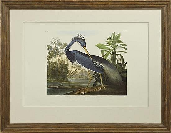 John James Audubon (1785-1851), \