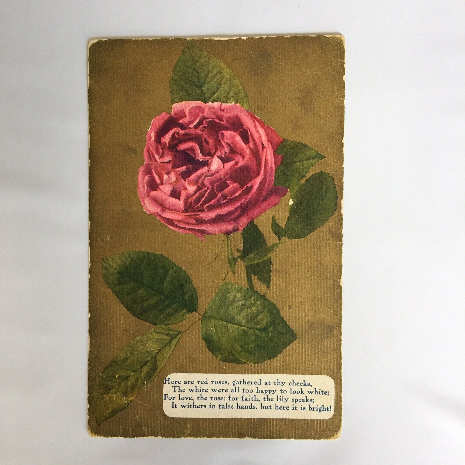 Red Roses Love Postmark Union City Michigan 1911 Postcard 