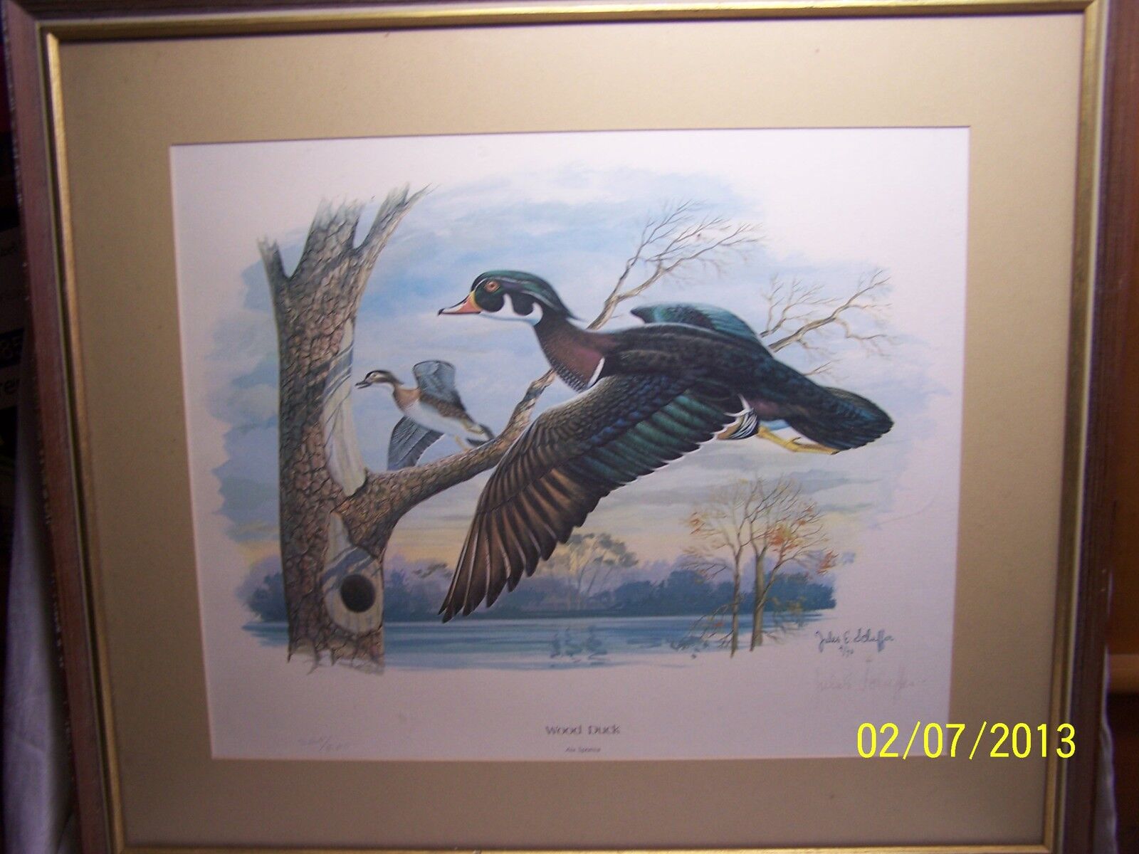 Original 1973 Wood Duck Print Limited 500 Edition Jules E.Scheffer Artist Signed