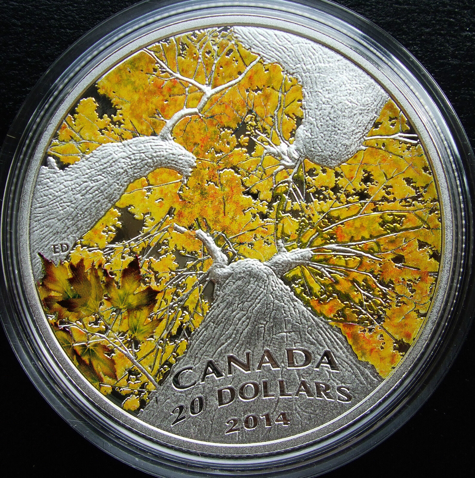 **CANADA $20 .999 Fine Silver 1 oz. Coin - Maple  Autumn Allure Canopy 2014
