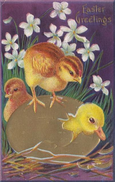 Antique EASTER POSTCARD c1907-20 Duckling Gold Egg Chicks Embossed 17917