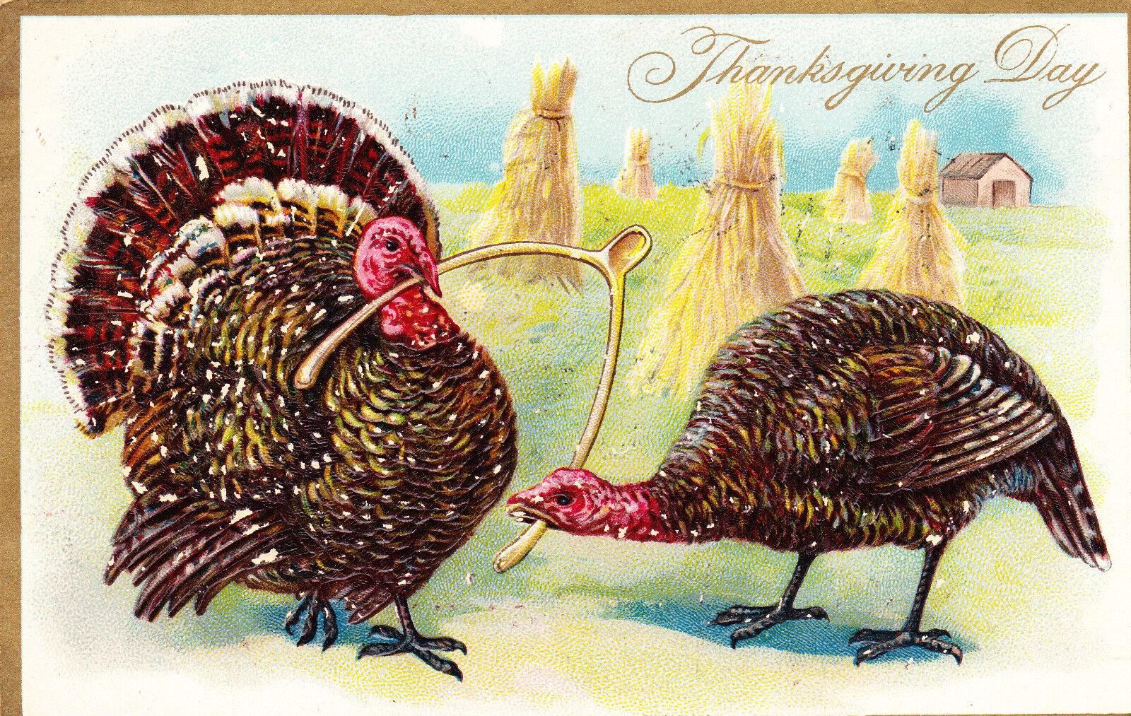 Tuck Postcard, Thanksgiving Day Series 123, R.J. Wealthy, Turkeys Wishbone c1909