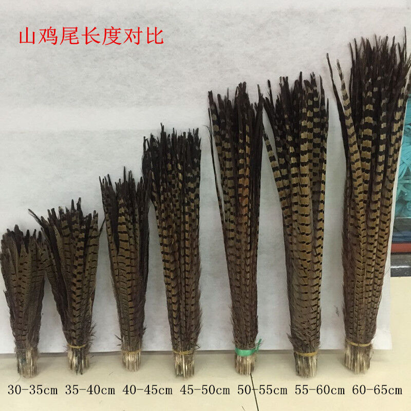 Wholesale 5-200pcs beautiful natural pheasant tail feathers 25-90cm / 10-36inch