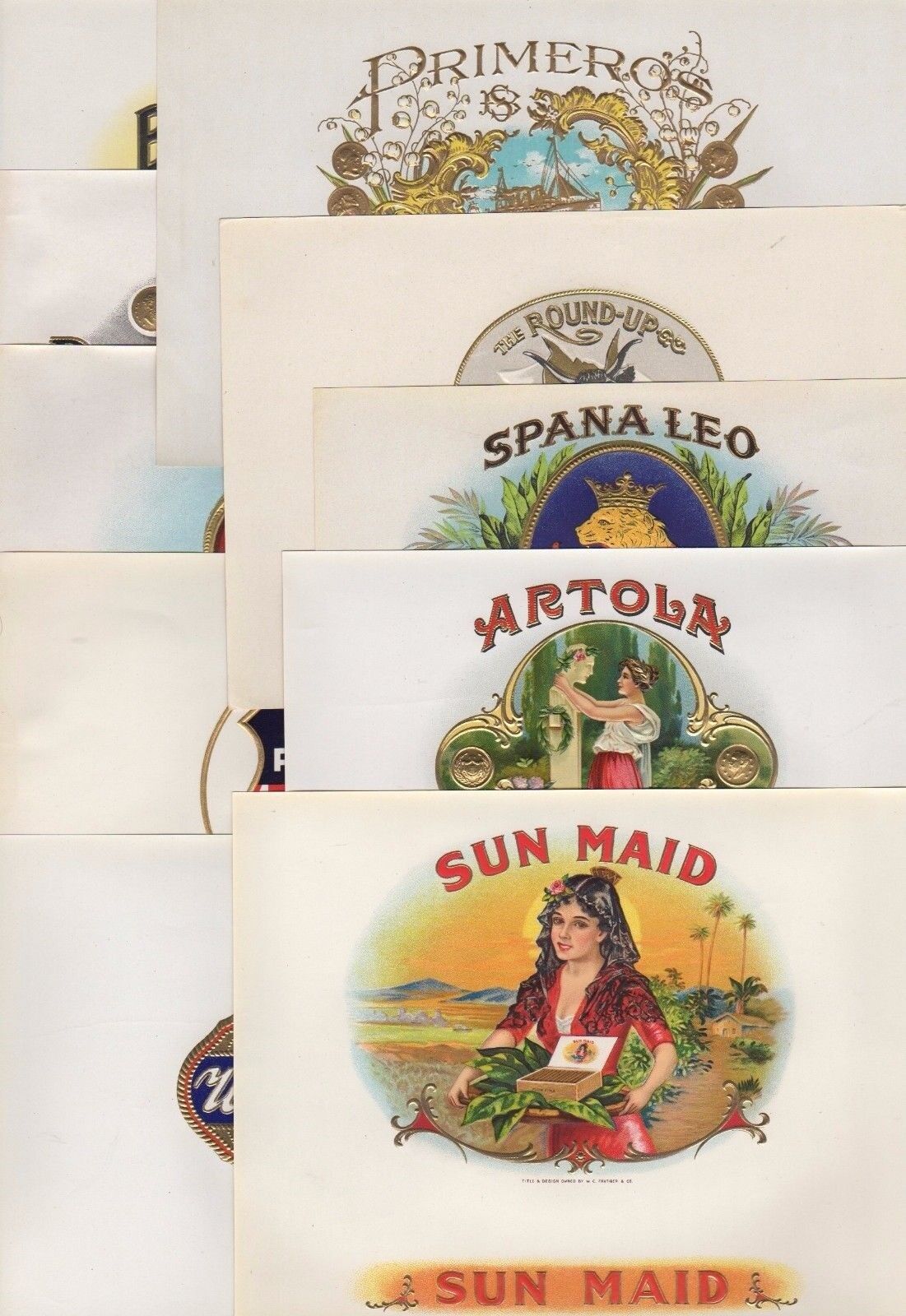 Collection of 10 Different Cigar Box Labels