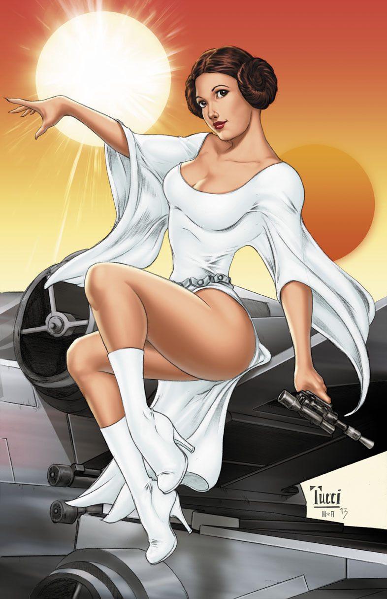 BEAUTIFUL STAR WARS Princess Leia signed Lithograph by Billy Tucci