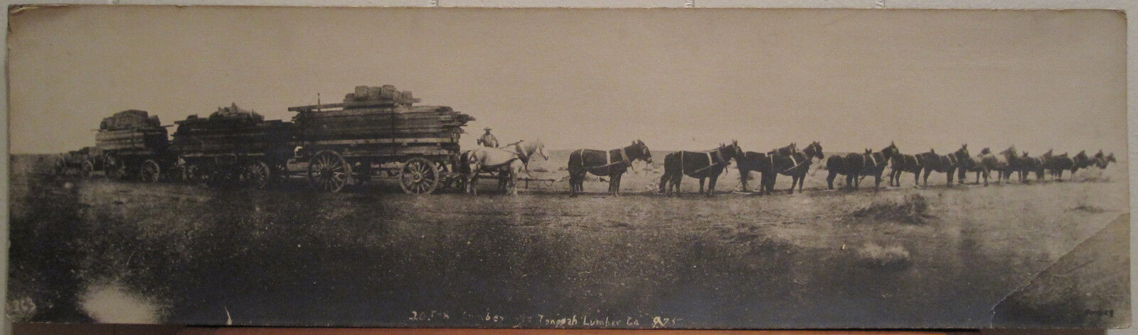 ANTIQUE AMERICAN 20 MULE TEAM ARTISTIC FORBES ARTIST MIDWEST OR WESTERN PHOTO