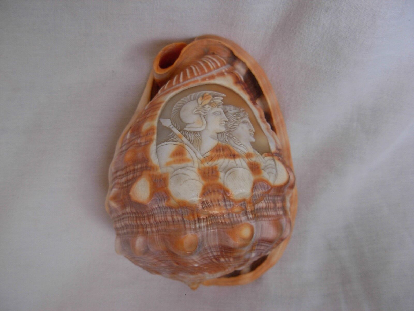ANTIQUE CARVED SHELL,CAMEO,EARLY XX CENTURY