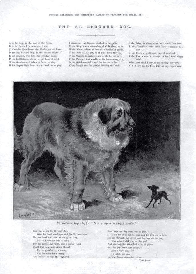The St. Bernard Dog  - with ABC\'S and Poem  -  by Louis Wain   -   1889