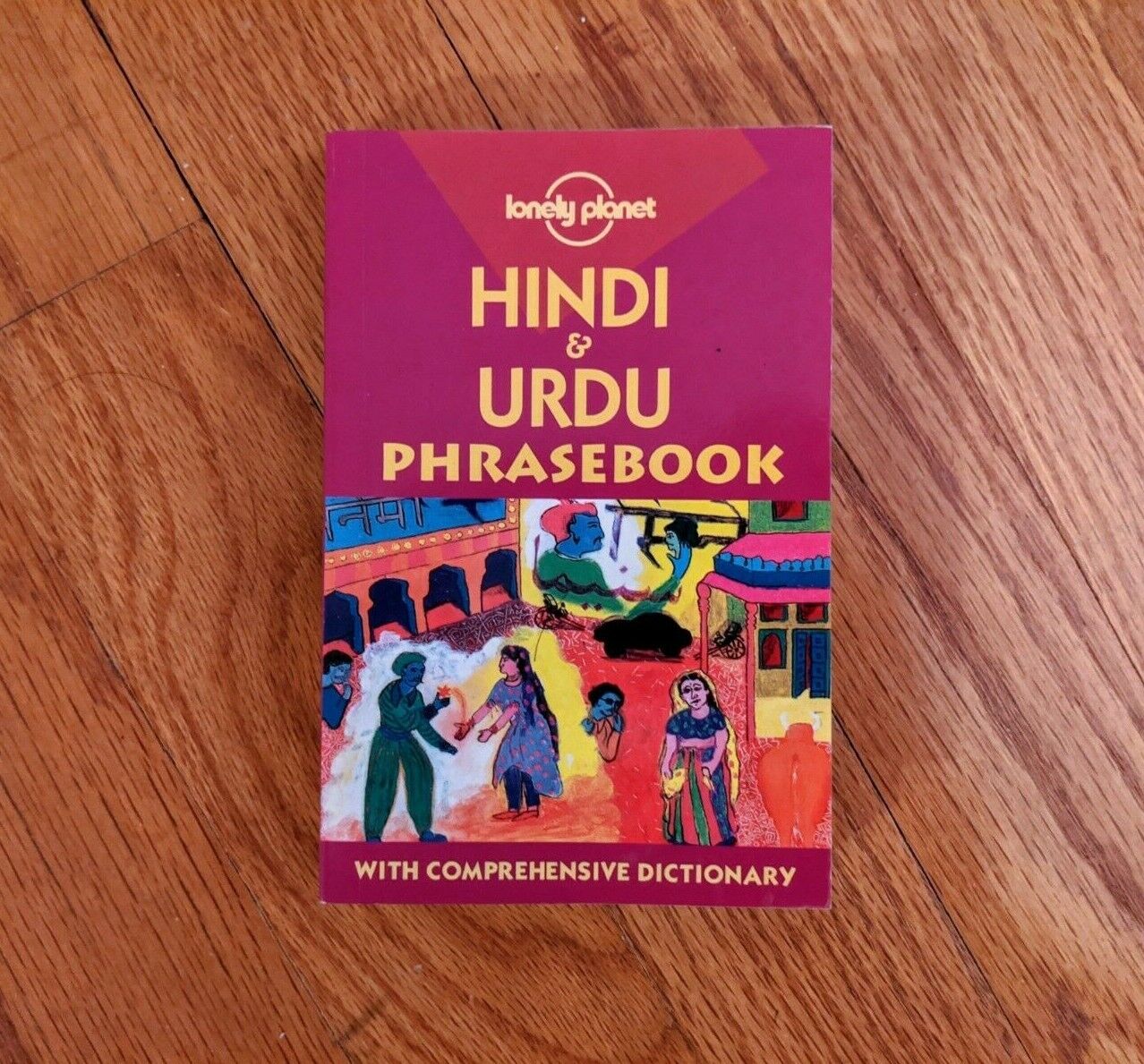 Lonely Planet: Hindi & Urdu Phrasebook by Richard Delacy (2nd Edition) 