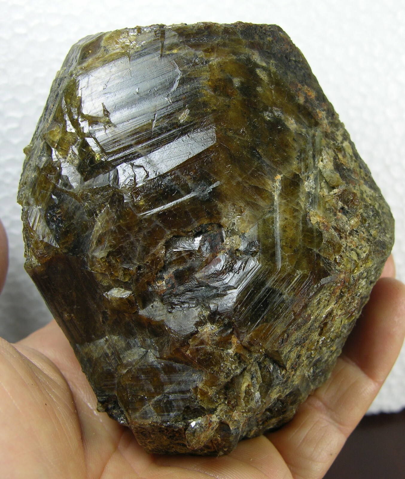 885g Vietnam RARE Huge Brown Clinohumite Crystal Specimen 1 lb 15 1/4 oz 93.00mm 885g Vietnam RARE Huge Brown Clinohumite Crystal Specimen 1 lb 15 1/4 oz 93.00mm