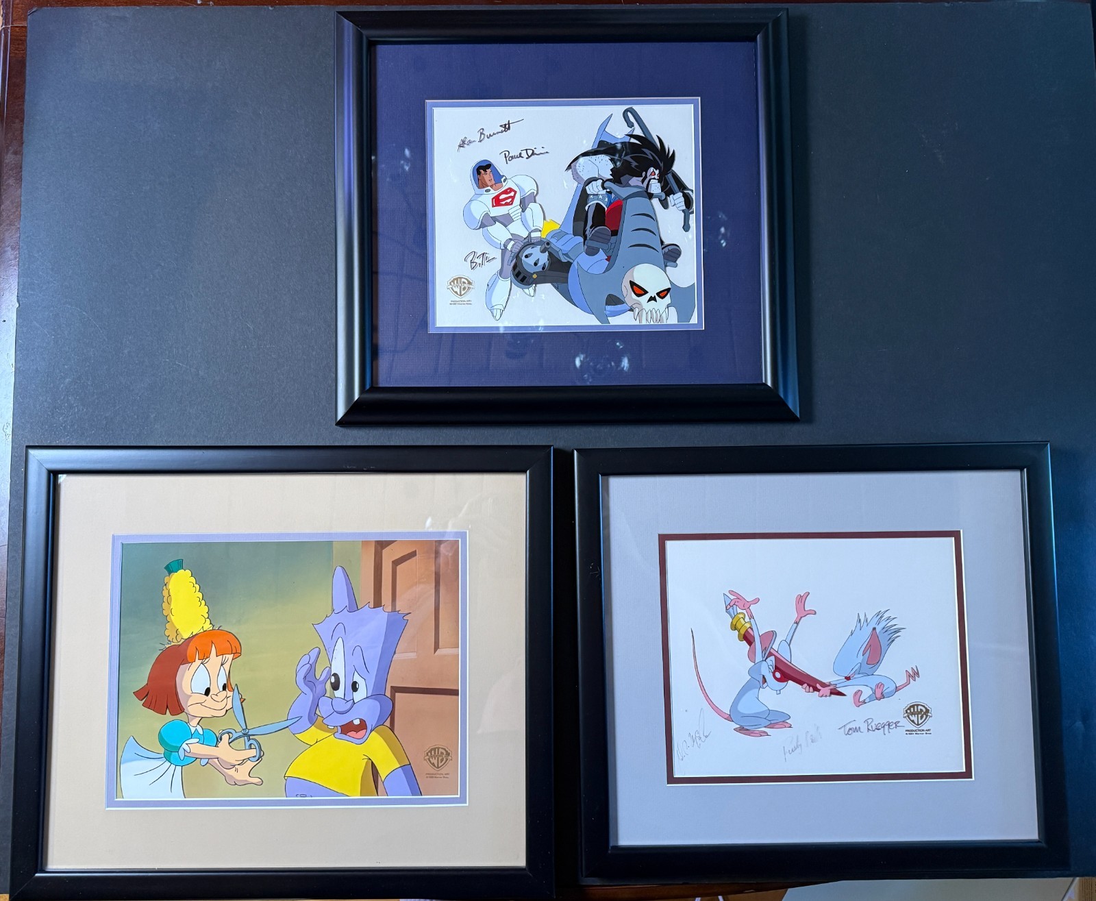 Warner Bros 90s Animation Cel LOT 3 Superman TAS Pinky Brain Tiny Toons 6 SIGS
