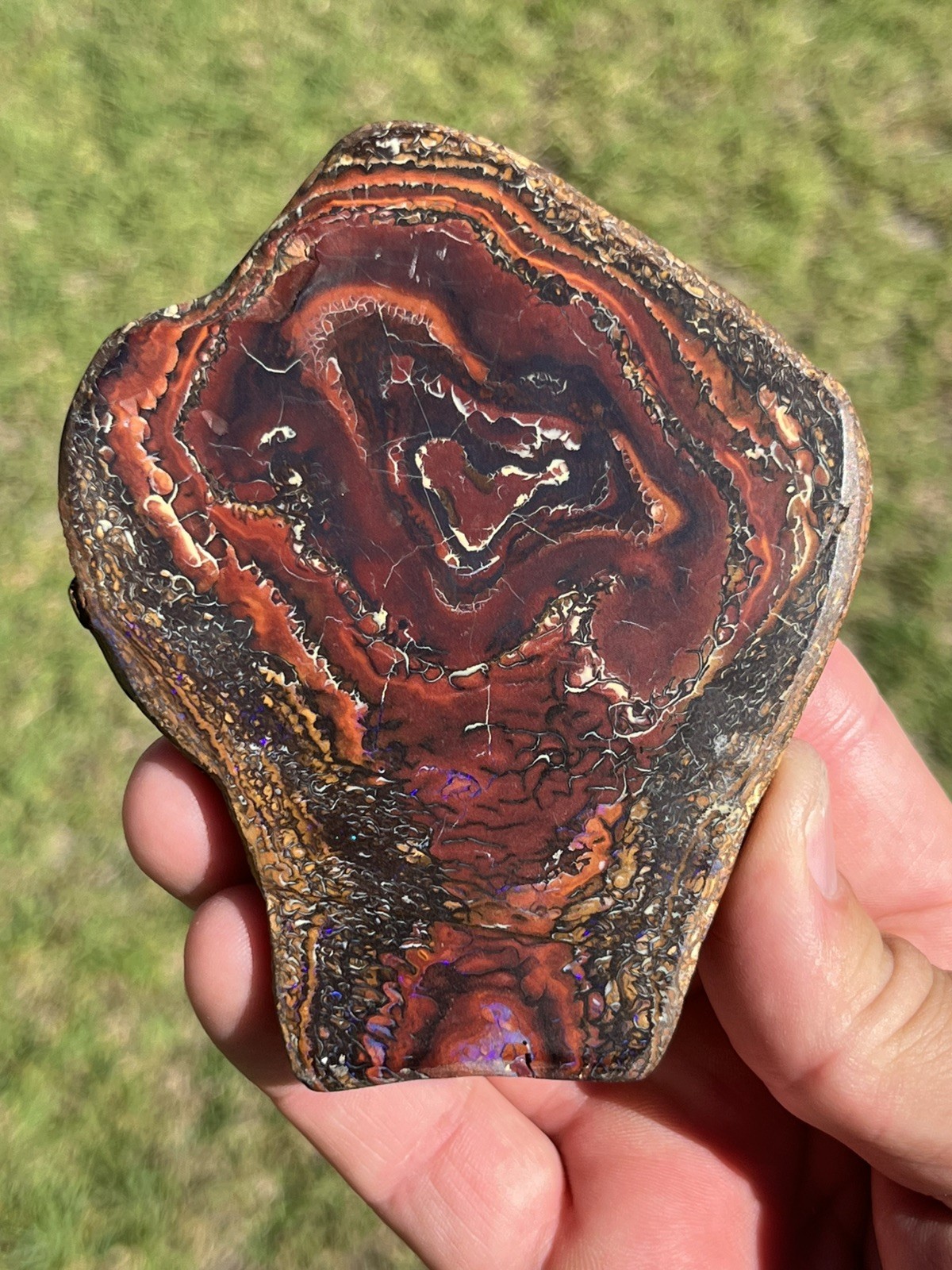 Yowah Nut Opal Specimen Queensland Boulder Opal Natural Australian Matrix Gem Yowah Nut Opal Specimen Queensland Boulder Opal Natural Australian Matrix Gem