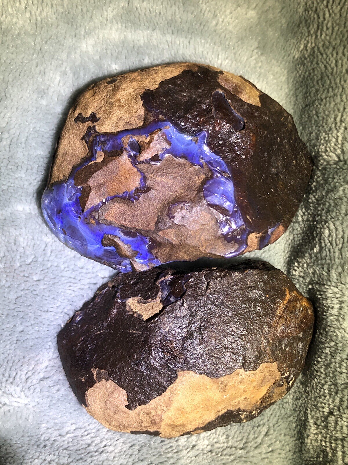 Australian Yowah Nut Dragon Egg Fossil RARE Australian Yowah Nut Dragon Egg Fossil RARE