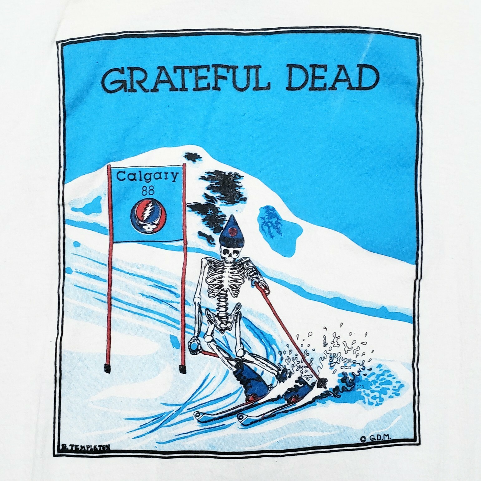 Vtg 80s GRATEFUL DEAD Calgary Spring Tour Tshirt Single Stitch Tee 1988 XL RARE Vtg 80s GRATEFUL DEAD Calgary Spring Tour Tshirt Single Stitch Tee 1988 XL RARE